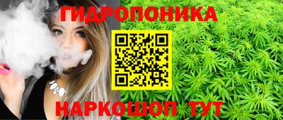 мяу мяу мука Ливны