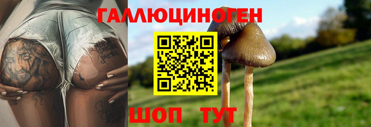 Гуково  Псилоцибиновые грибы мухоморы  Вход с VPN 